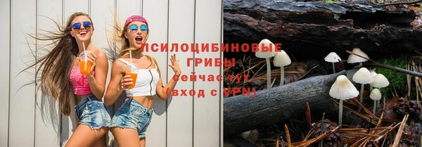 Альфа ПВП Алзамай