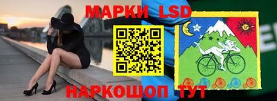 мет Кингисепп
