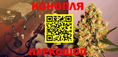 мет Кингисепп
