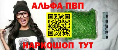 мет Кингисепп