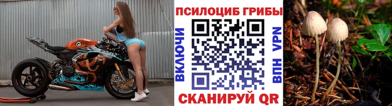 где можно купить   Лысьва  Псилоцибиновые грибы ЛСД 