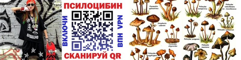 Псилоцибиновые грибы GOLDEN TEACHER Лысьва