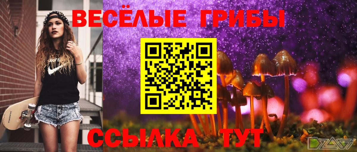Галлюциногенные грибы GOLDEN TEACHER  Вход с VPN  как найти наркотики  Лысьва 